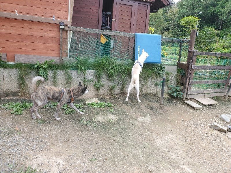 f:id:roukenhome-ann:20191001093559j:plain