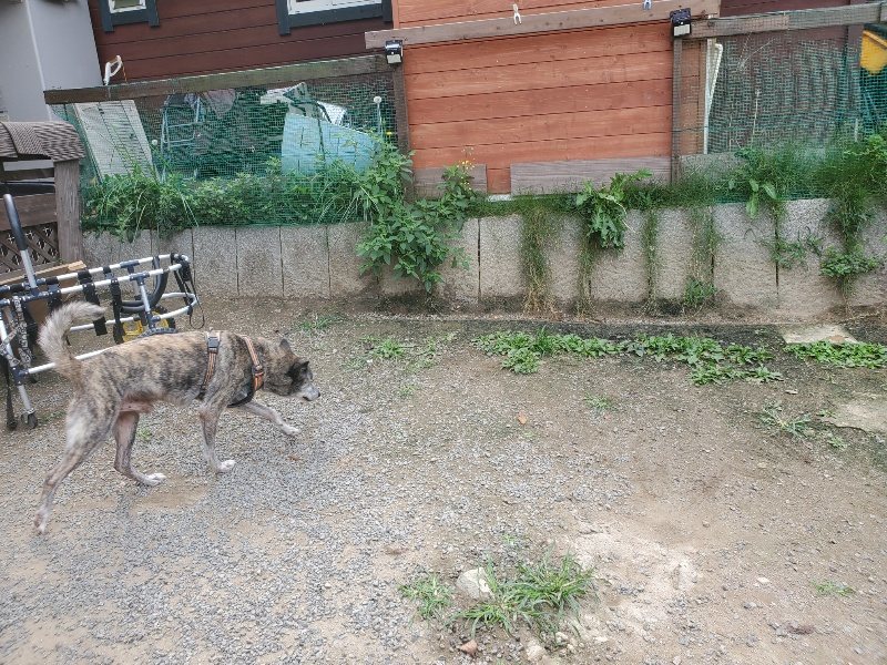 f:id:roukenhome-ann:20191001093604j:plain