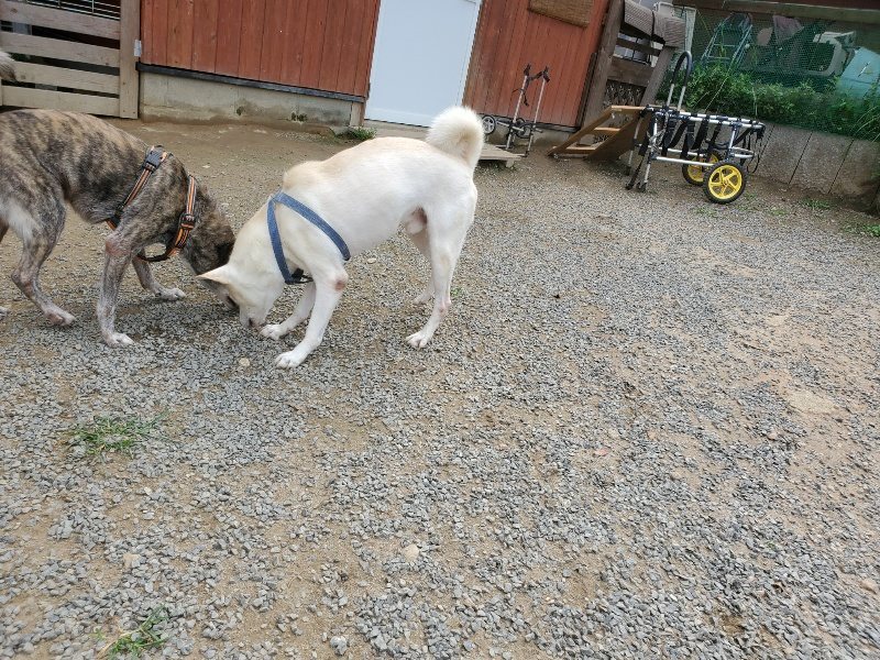 f:id:roukenhome-ann:20191001093622j:plain