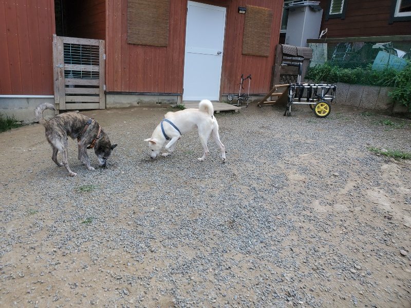 f:id:roukenhome-ann:20191001093629j:plain