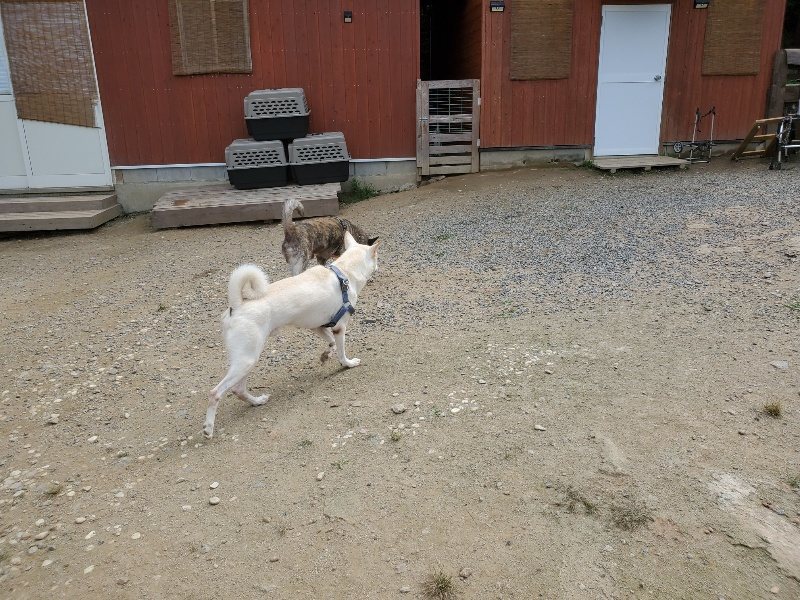 f:id:roukenhome-ann:20191001093650j:plain