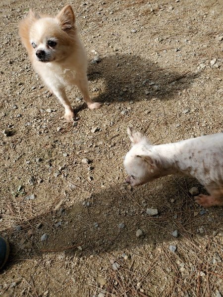 f:id:roukenhome-ann:20191001093727j:plain