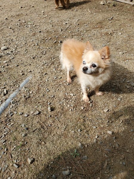 f:id:roukenhome-ann:20191001093744j:plain