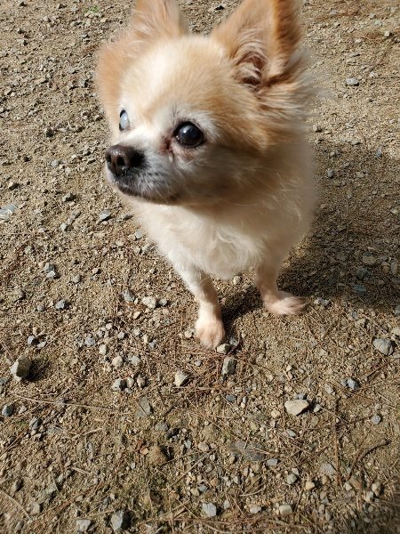 f:id:roukenhome-ann:20191001093749j:plain