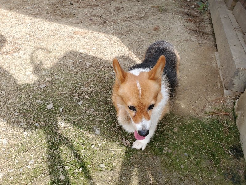 f:id:roukenhome-ann:20191001093759j:plain