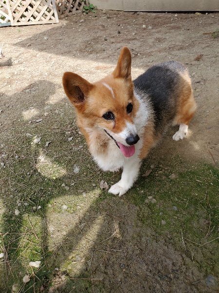 f:id:roukenhome-ann:20191001093805j:plain