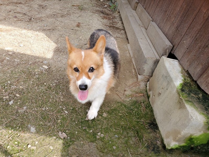 f:id:roukenhome-ann:20191001093811j:plain