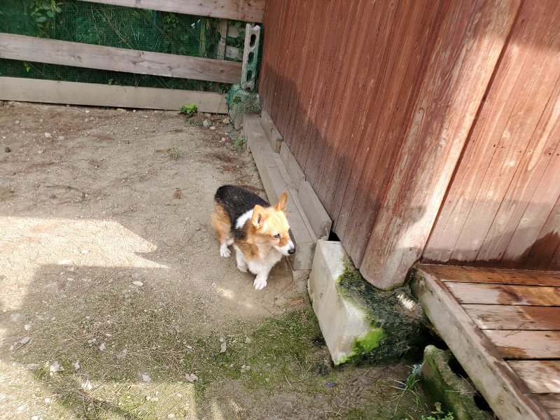 f:id:roukenhome-ann:20191001093816j:plain