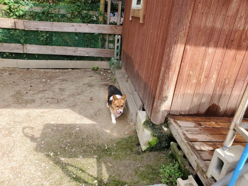 f:id:roukenhome-ann:20191001093822j:plain