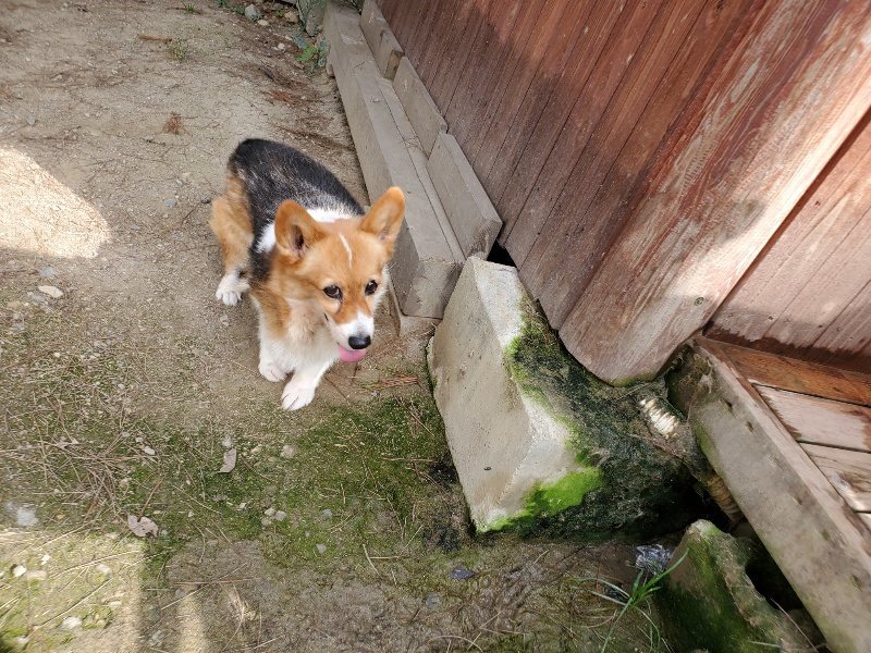 f:id:roukenhome-ann:20191001093828j:plain