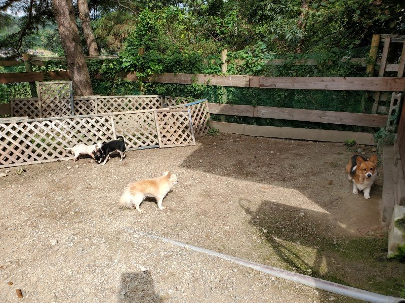 f:id:roukenhome-ann:20191001093834j:plain
