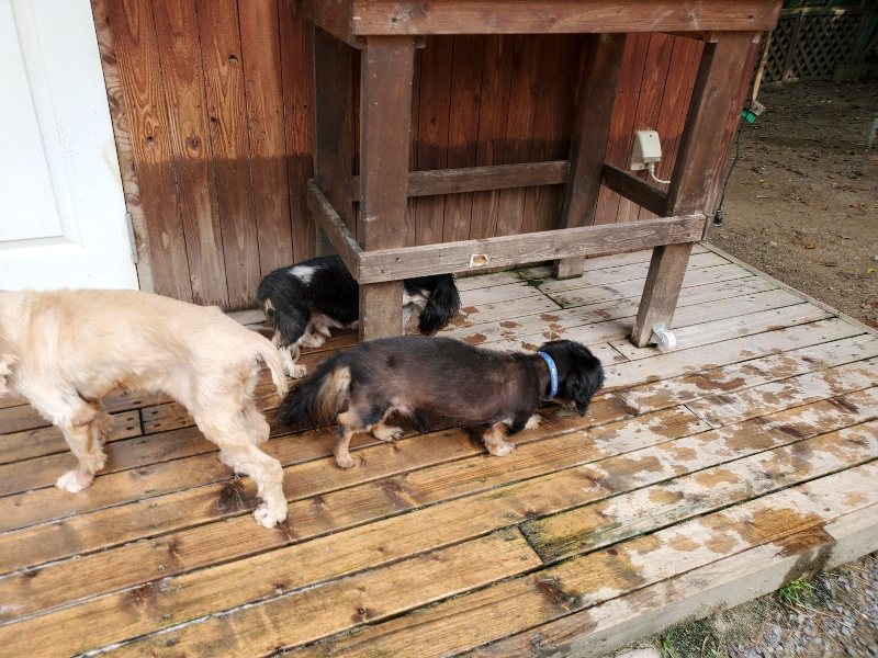 f:id:roukenhome-ann:20191001093852j:plain