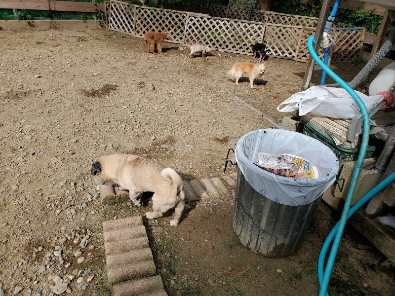 f:id:roukenhome-ann:20191001093859j:plain
