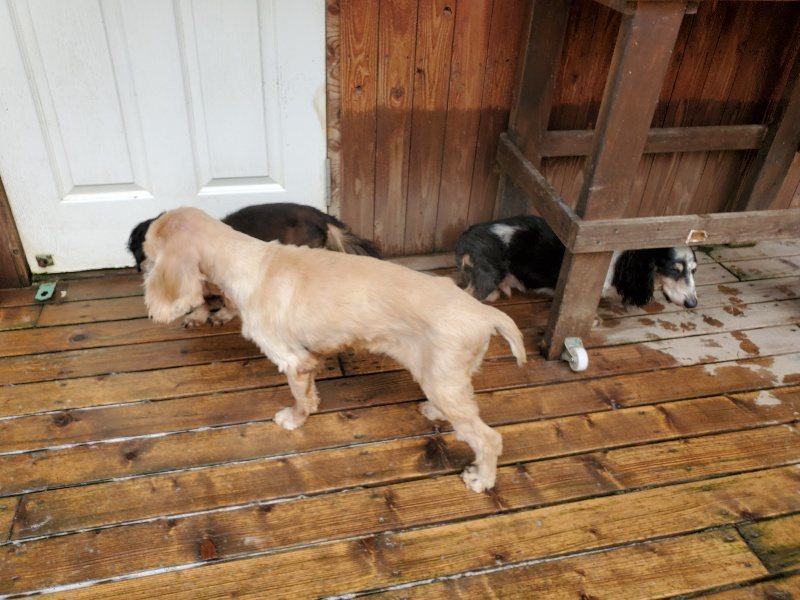 f:id:roukenhome-ann:20191001093930j:plain