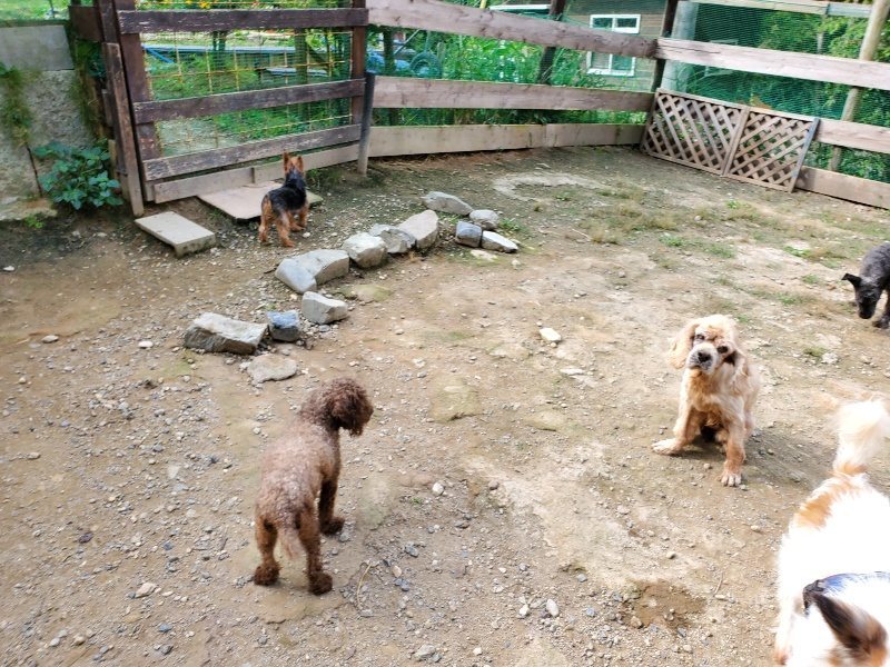 f:id:roukenhome-ann:20191001094001j:plain