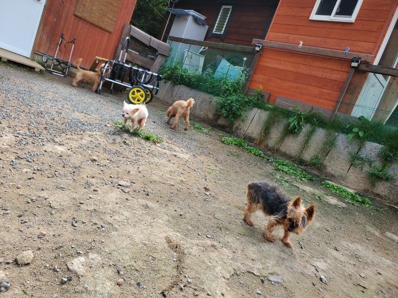 f:id:roukenhome-ann:20191001094007j:plain
