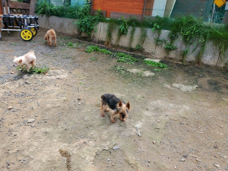 f:id:roukenhome-ann:20191001094012j:plain
