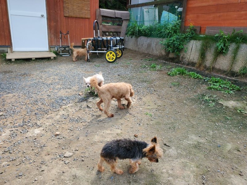 f:id:roukenhome-ann:20191001094019j:plain