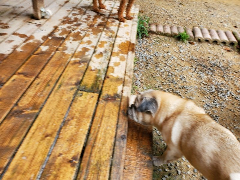 f:id:roukenhome-ann:20191001094118j:plain