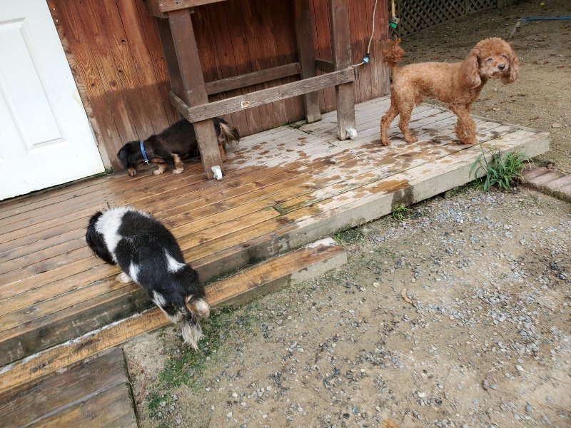 f:id:roukenhome-ann:20191001094148j:plain
