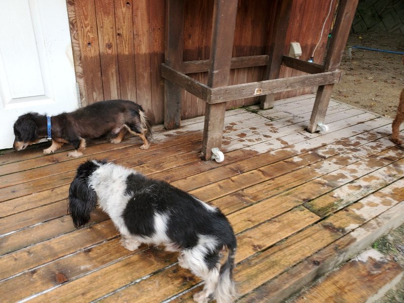 f:id:roukenhome-ann:20191001094153j:plain