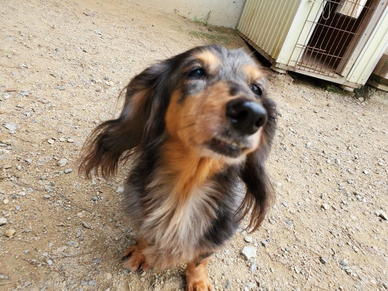 f:id:roukenhome-ann:20191001094204j:plain