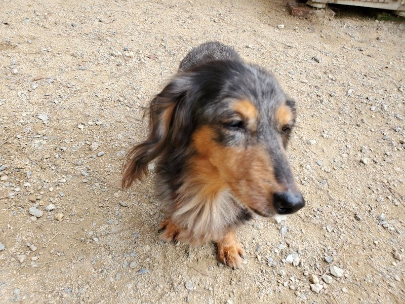 f:id:roukenhome-ann:20191001094210j:plain