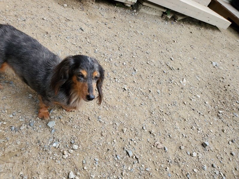 f:id:roukenhome-ann:20191001094217j:plain