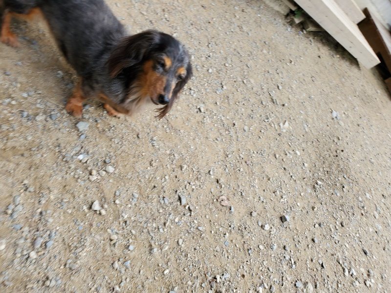 f:id:roukenhome-ann:20191001094229j:plain