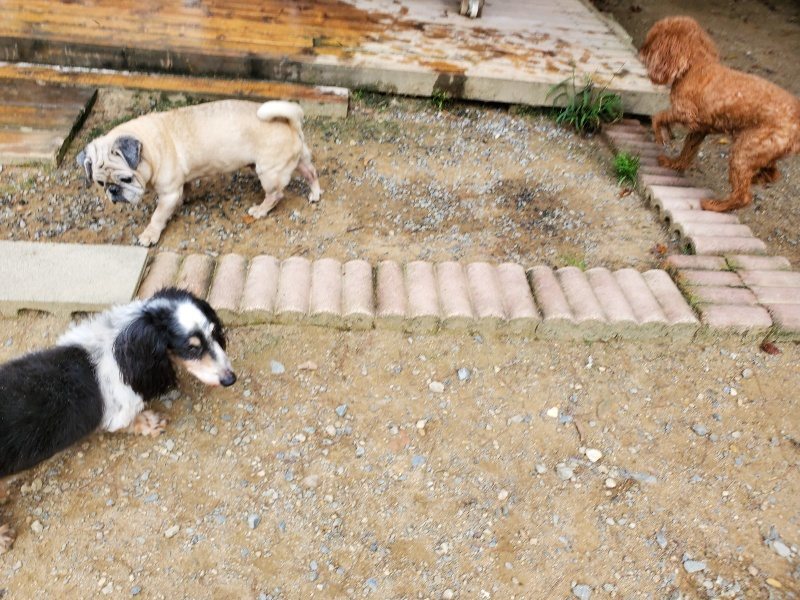 f:id:roukenhome-ann:20191001094247j:plain