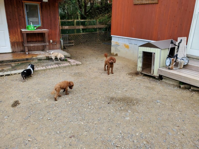 f:id:roukenhome-ann:20191001094315j:plain
