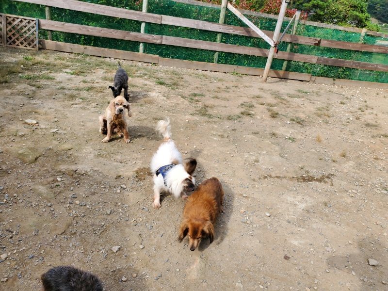f:id:roukenhome-ann:20191001094332j:plain