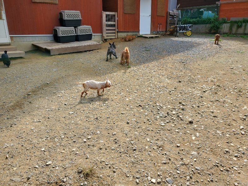 f:id:roukenhome-ann:20191001094534j:plain