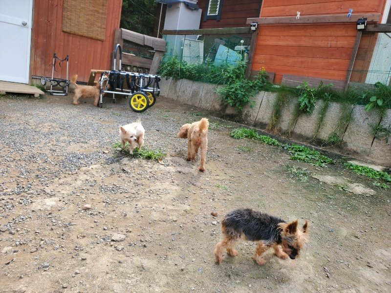 f:id:roukenhome-ann:20191001094554j:plain