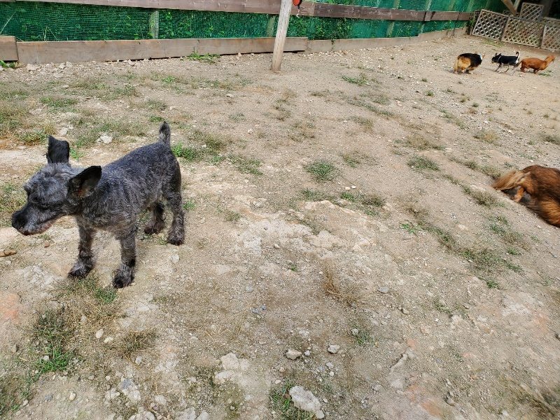 f:id:roukenhome-ann:20191001094653j:plain