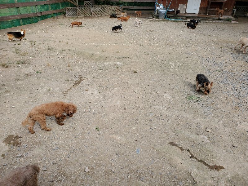 f:id:roukenhome-ann:20191001094711j:plain