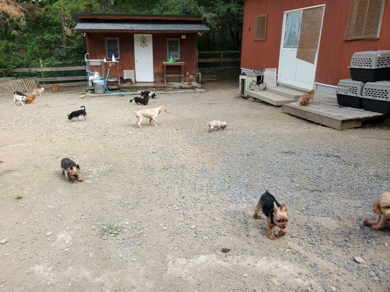 f:id:roukenhome-ann:20191001094737j:plain