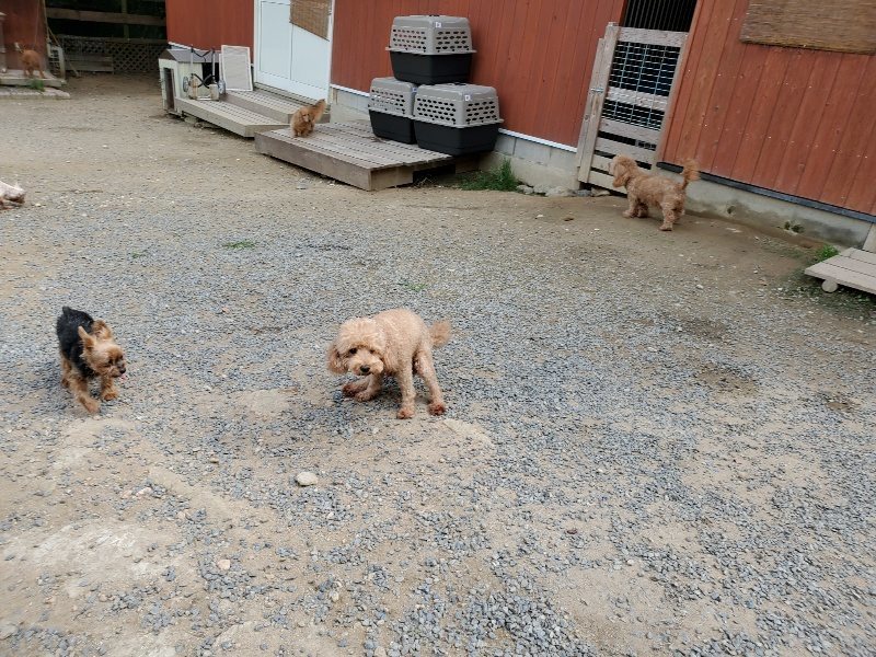 f:id:roukenhome-ann:20191001094755j:plain