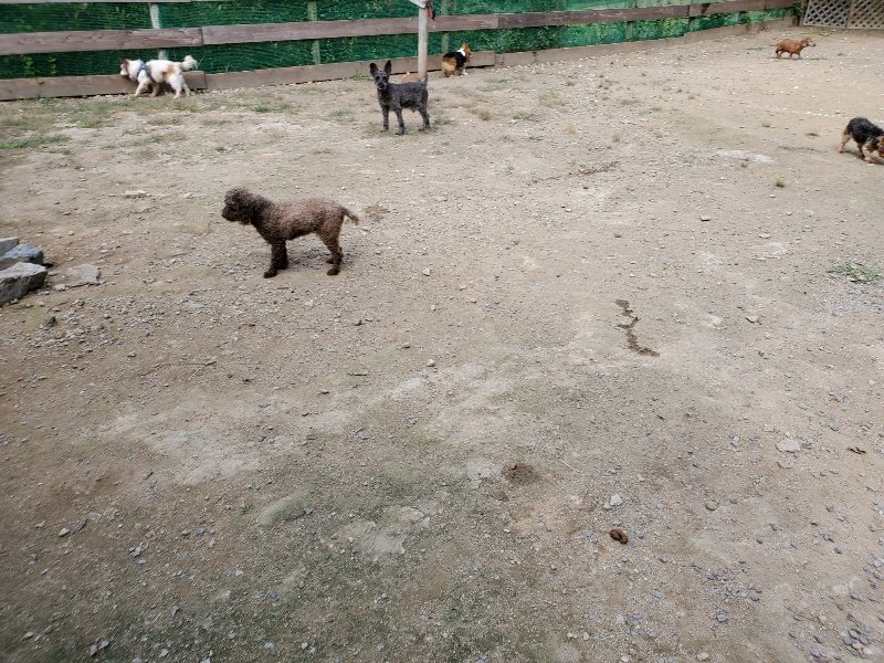 f:id:roukenhome-ann:20191001094801j:plain