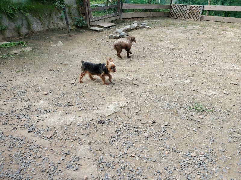 f:id:roukenhome-ann:20191001094807j:plain