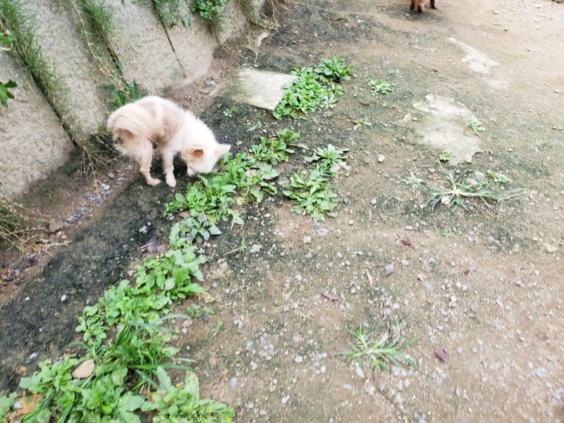 f:id:roukenhome-ann:20191001094813j:plain