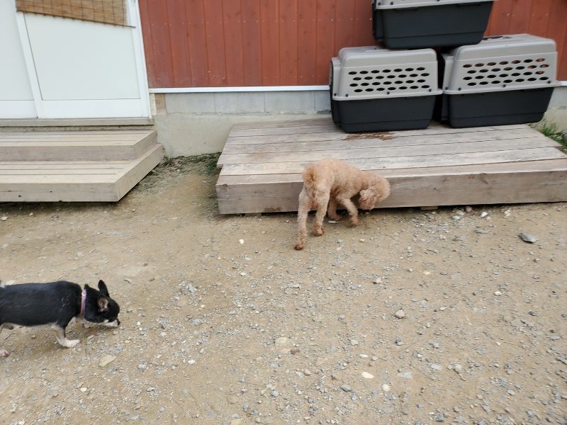 f:id:roukenhome-ann:20191001094905j:plain