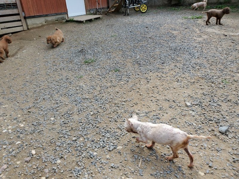 f:id:roukenhome-ann:20191001094911j:plain