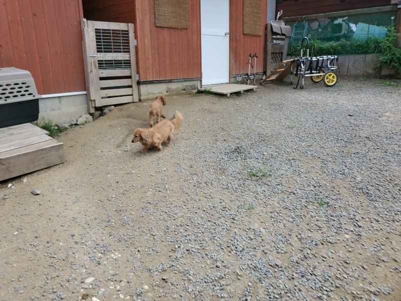 f:id:roukenhome-ann:20191001094923j:plain