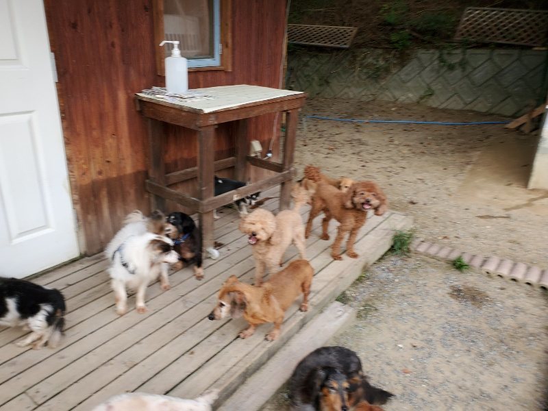 f:id:roukenhome-ann:20191001202627j:plain
