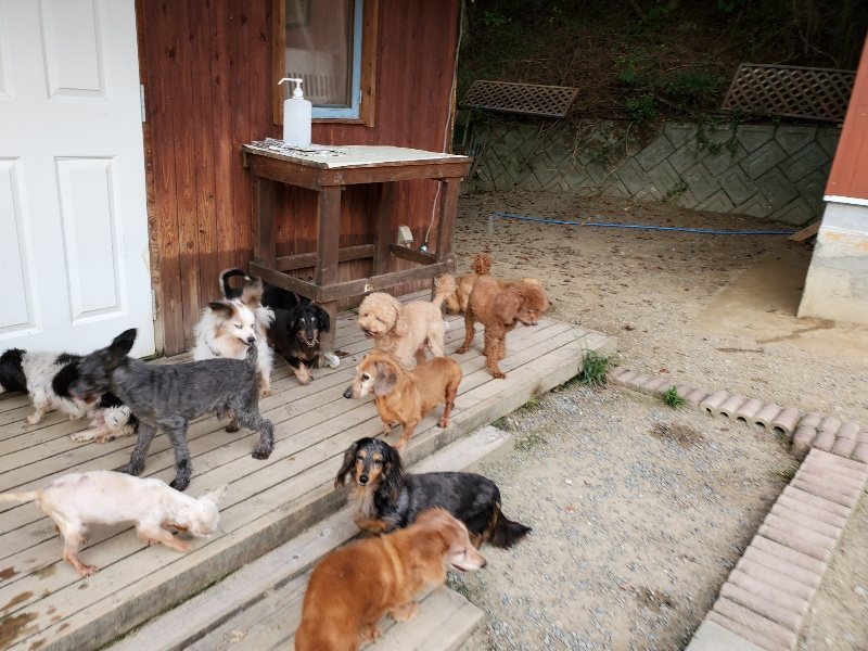 f:id:roukenhome-ann:20191001202640j:plain