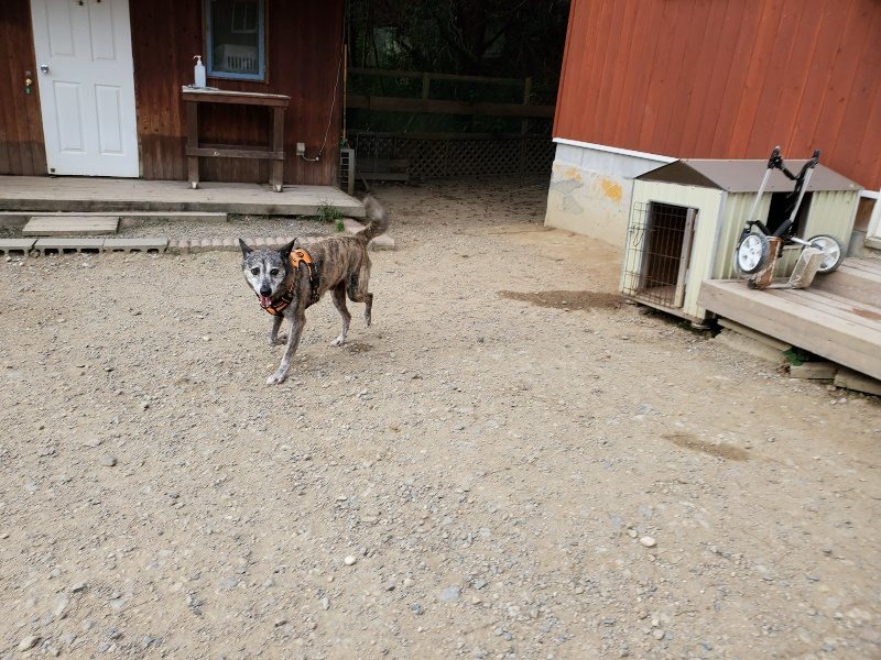 f:id:roukenhome-ann:20191001203043j:plain