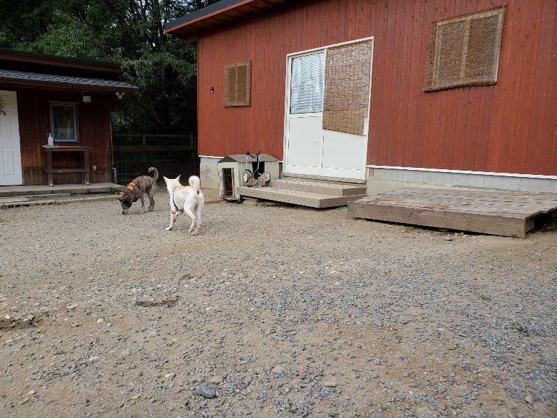 f:id:roukenhome-ann:20191001203153j:plain