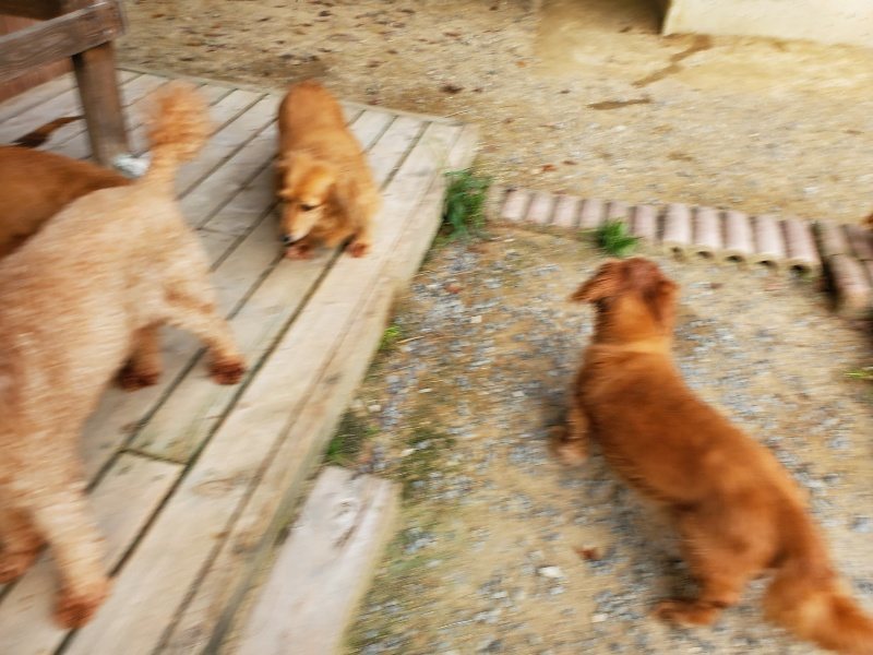 f:id:roukenhome-ann:20191001203240j:plain