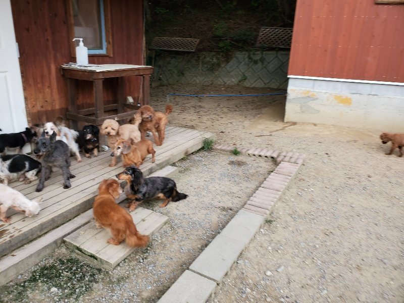 f:id:roukenhome-ann:20191001203730j:plain